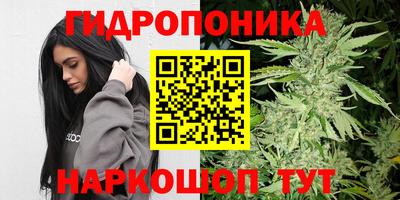амф Кинель