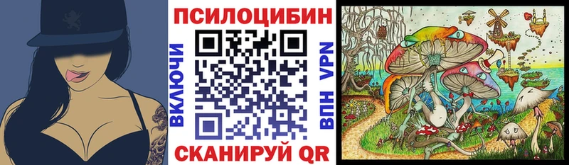 где найти   Кумертау  Галлюциногенные грибы Psilocybe 