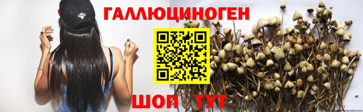 Псилоцибиновые грибы MAGIC MUSHROOMS  Вход с VPN  цены наркотик  Псилоцибиновые грибы мухоморы  Кумертау 